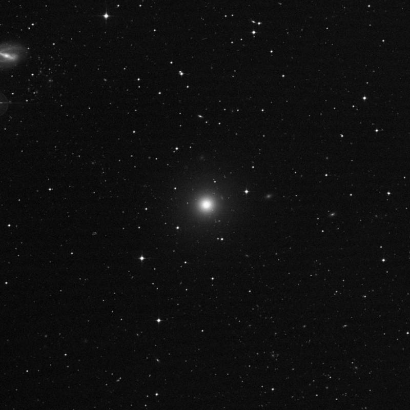 Image of NGC 7507 - Elliptical Galaxy in Sculptor star