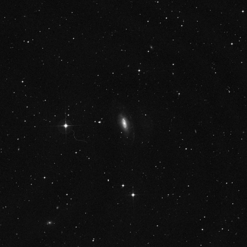 Image of NGC 7531 - Intermediate Spiral Galaxy in Grus star