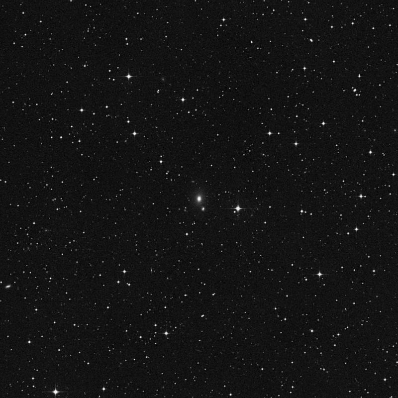 Image of IC 1356 - Elliptical Galaxy in Capricornus star