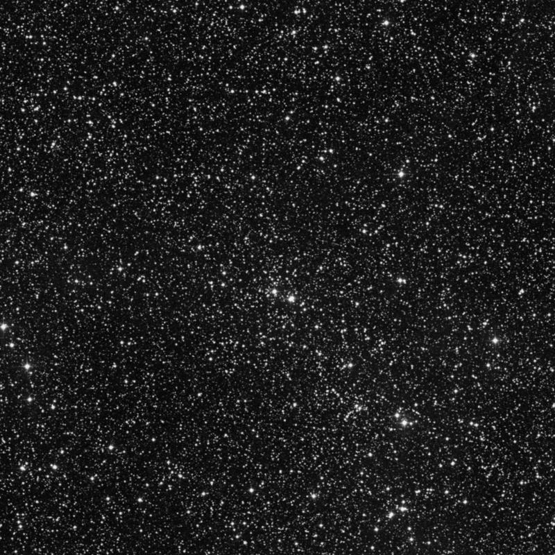 Image of IC 1363 - Open Cluster in Cygnus star