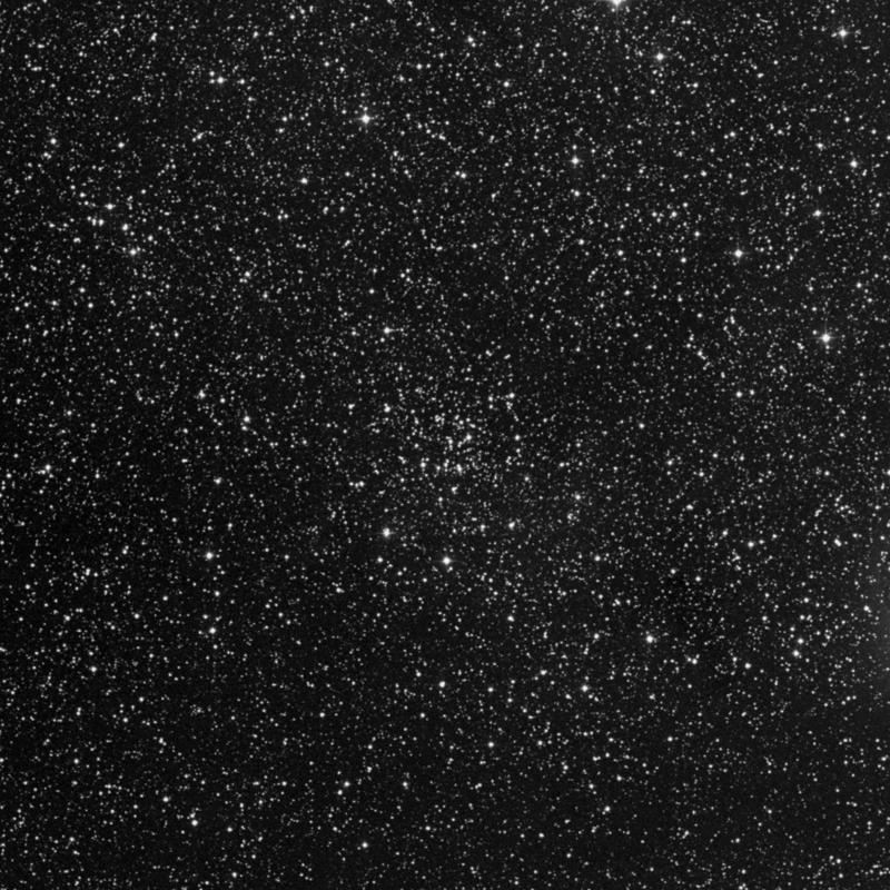 Image of IC 1369 - Open Cluster in Cygnus star
