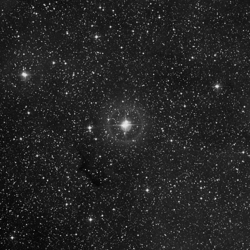 Image of IC 1396 - Star Cluster + Nebula in Cepheus star