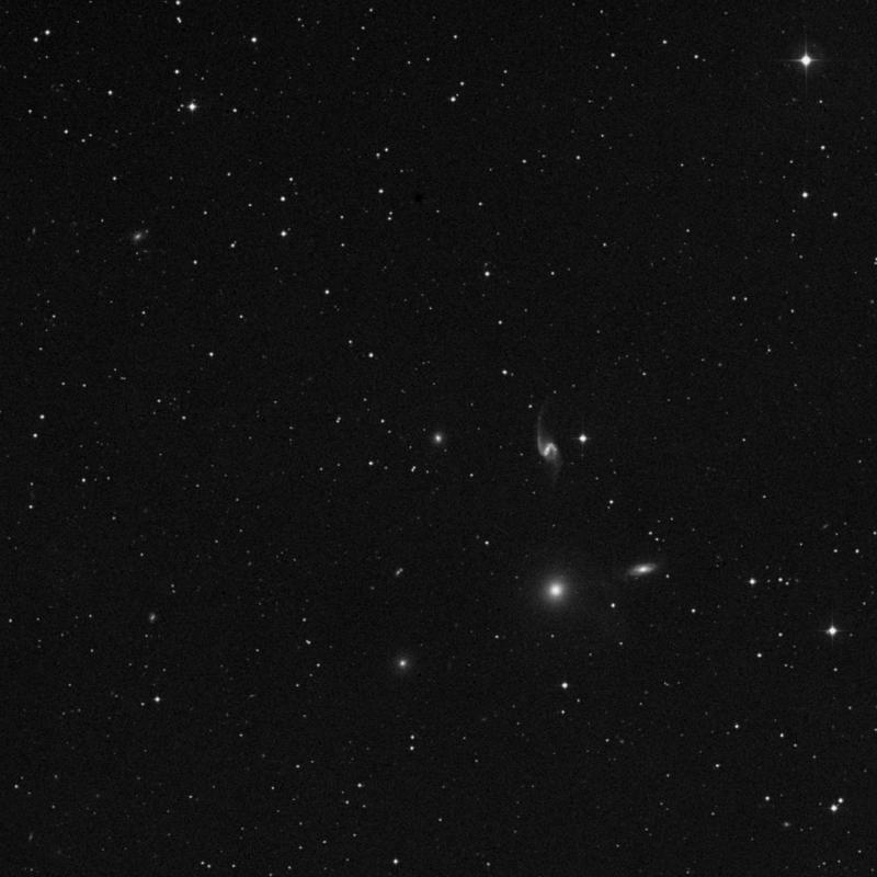 Image of NGC 7553 - Elliptical Galaxy in Pegasus star