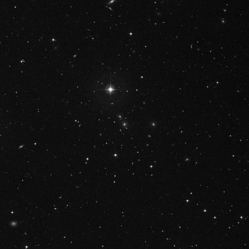 Image of NGC 7584 - Galaxy in Pegasus star