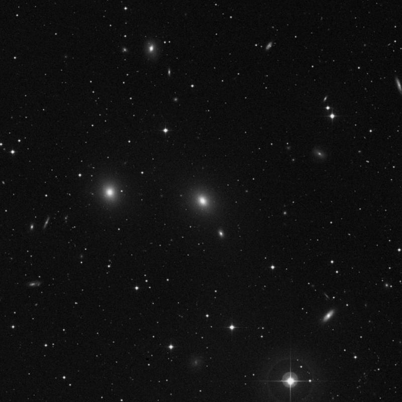Image of NGC 7619 - Elliptical Galaxy in Pegasus star