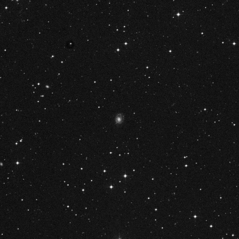 Image of NGC 7645 - Galaxy in Sculptor star