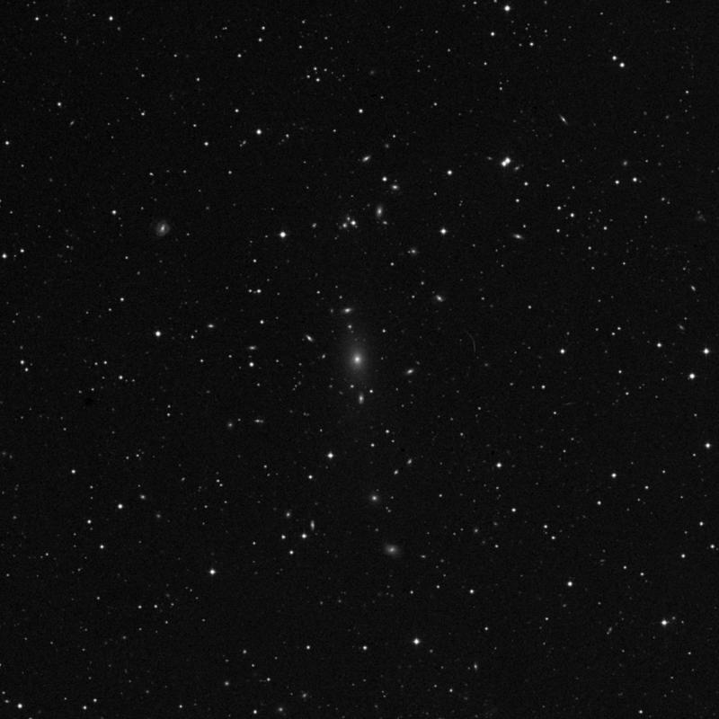 Image of NGC 7647 - Elliptical Galaxy in Pegasus star
