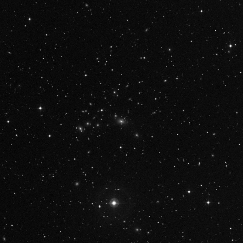 Image of NGC 7649 - Elliptical Galaxy in Pegasus star