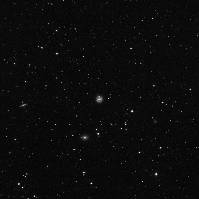 Image of NGC 7650 - Galaxy in Tucana star