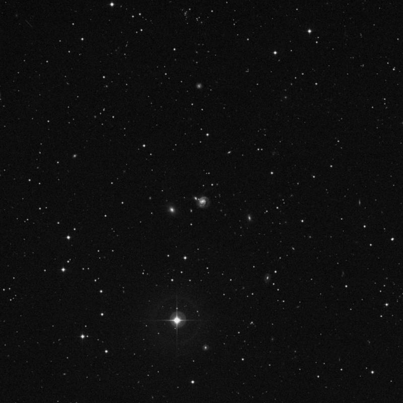 Image of NGC 7674 - Barred Spiral Galaxy in Pegasus star