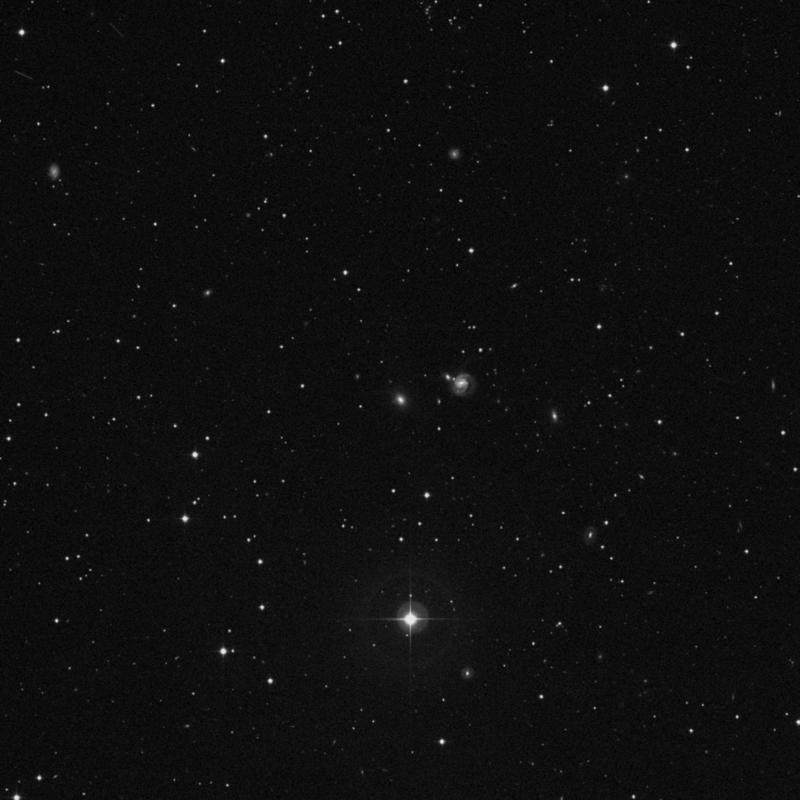 Image of NGC 7675 - Elliptical/Spiral Galaxy in Pegasus star