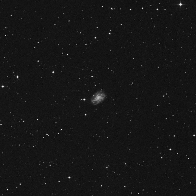 Image of NGC 7689 - Intermediate Spiral Galaxy in Phoenix star