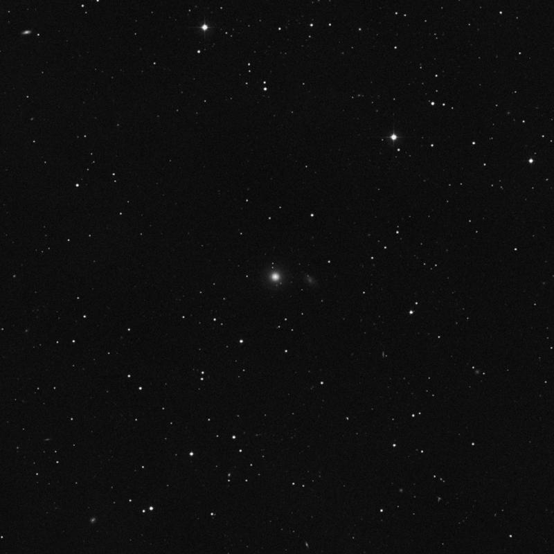 Image of NGC 7751 - Elliptical Galaxy in Pisces star