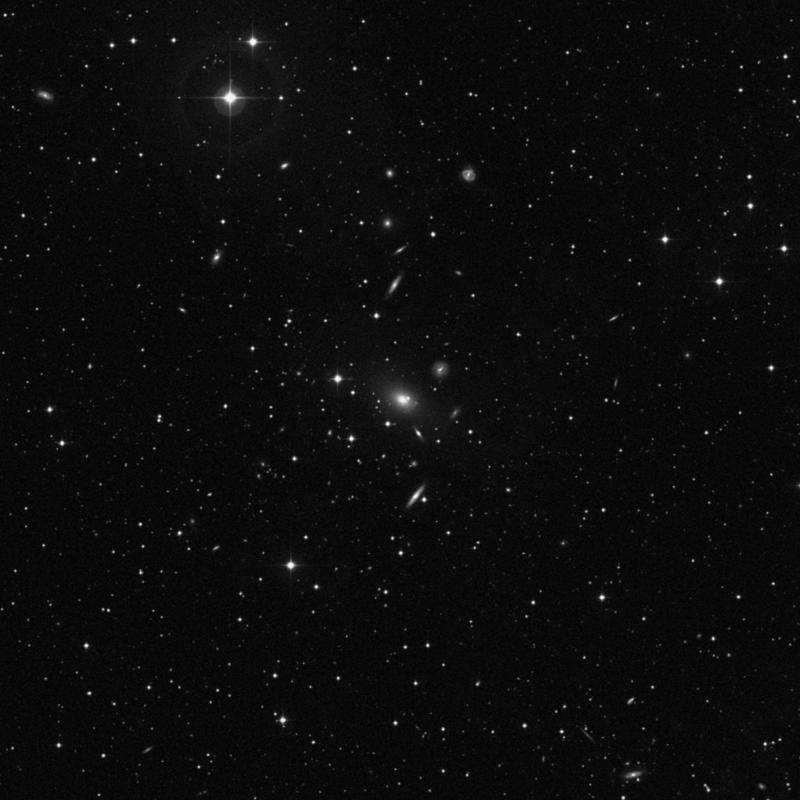 Image of NGC 7768 - Elliptical Galaxy in Pegasus star