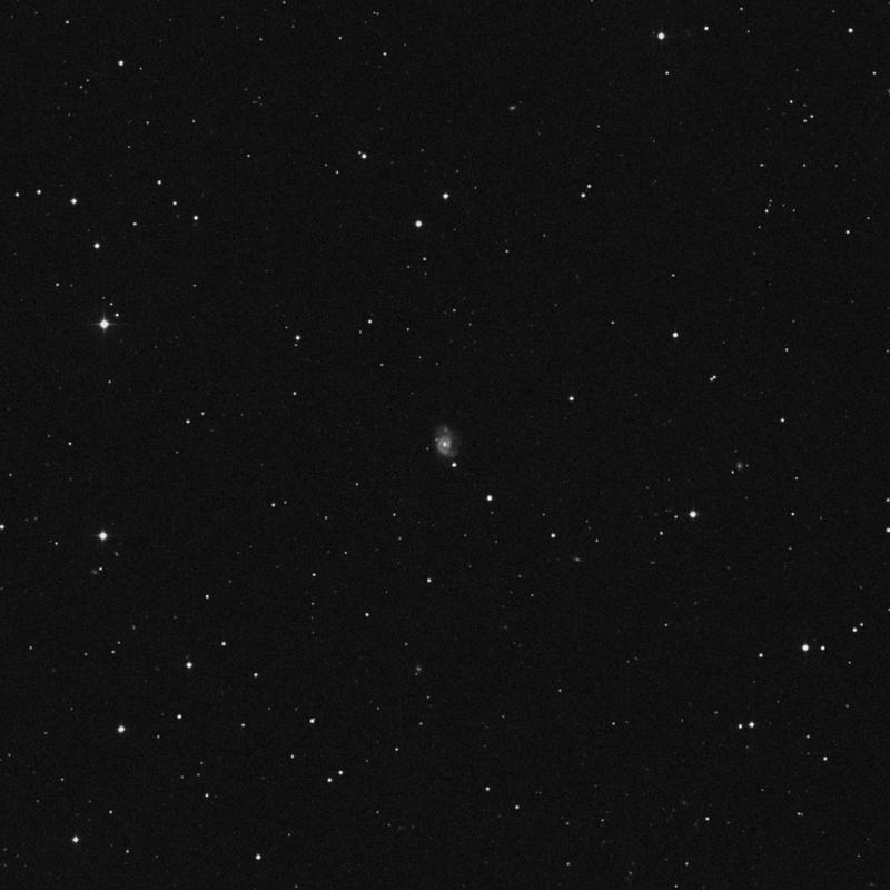Image of NGC 7794 - Spiral Galaxy in Pegasus star