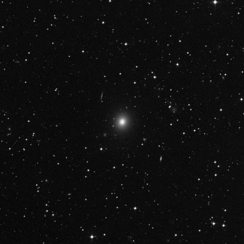 Image of NGC 7796 - Elliptical Galaxy in Phoenix star