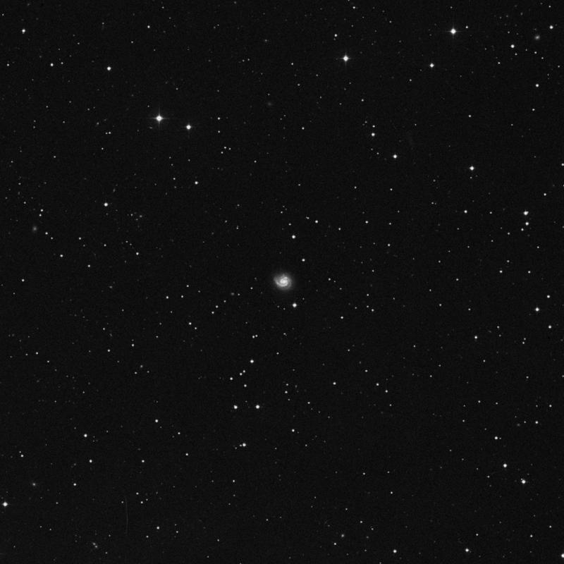 Image of NGC 7798 - Galaxy in Pegasus star