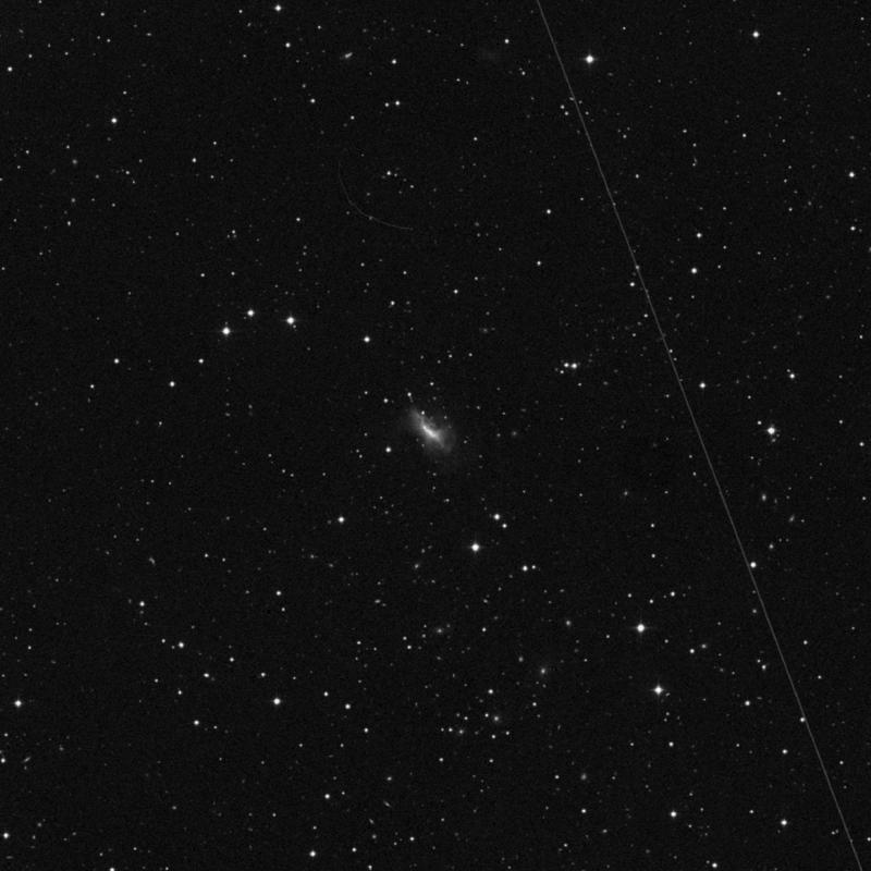 Image of NGC 7800 - Irregular Galaxy in Pegasus star