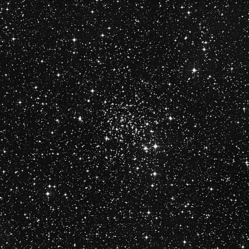 Image of Mel071 - Open Cluster in Puppis star