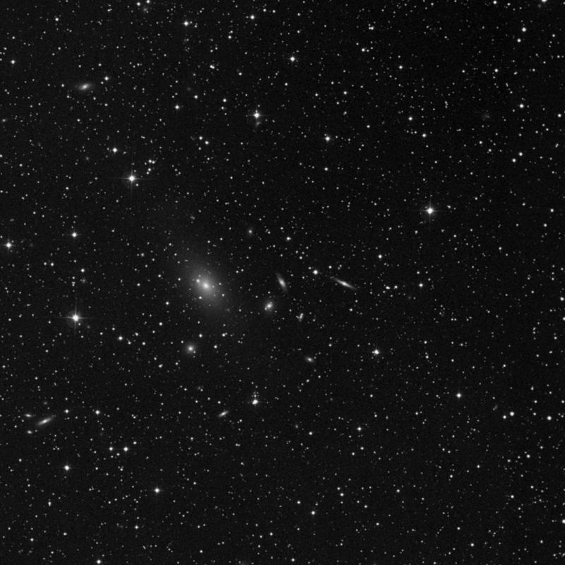 Image of IC 1441 - Barred Spiral Galaxy in Lacerta star