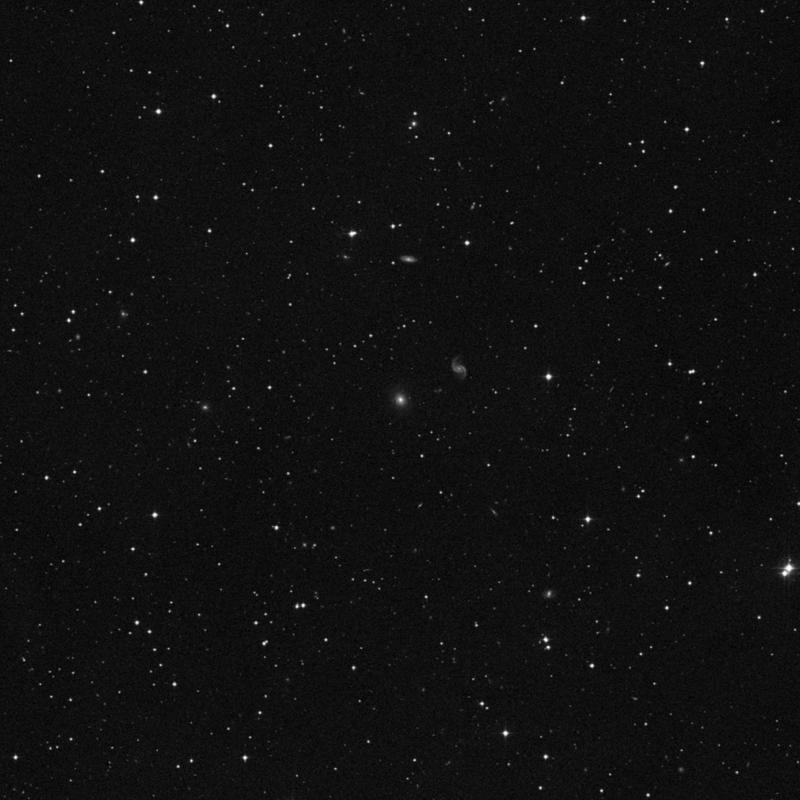 Image of IC 1444 - Elliptical Galaxy in Pegasus star
