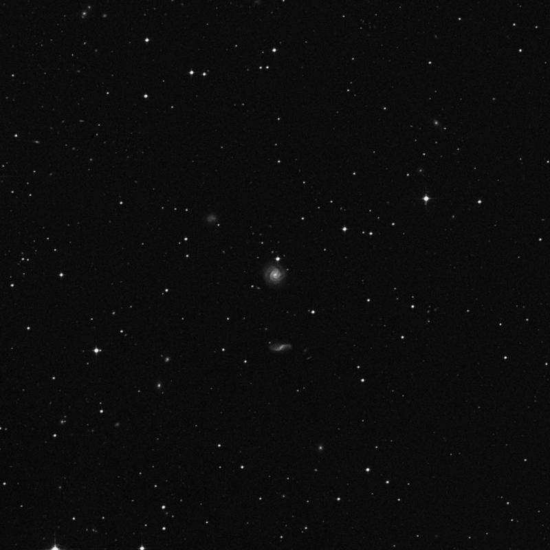Image of IC 1562 - Galaxy in Cetus star