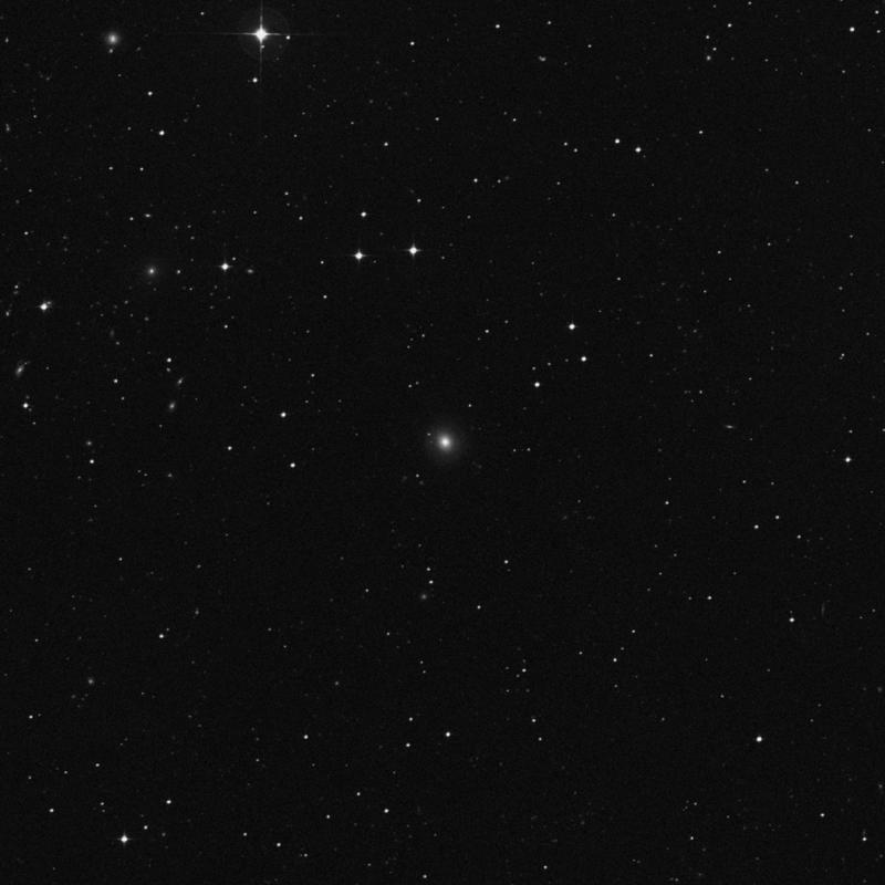 Image of IC 1609 - Lenticular Galaxy in Phoenix star