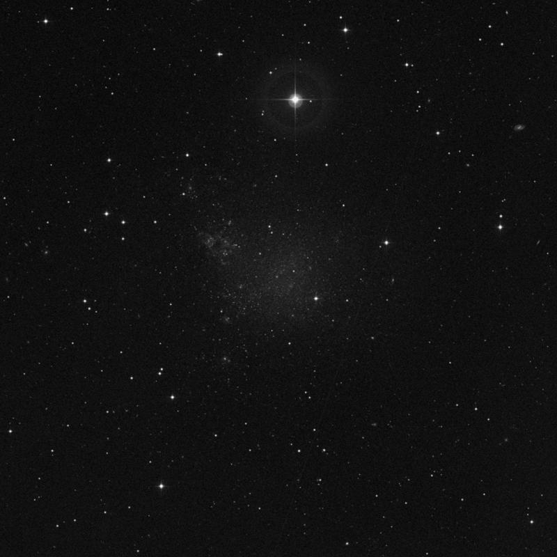 Image of IC 1613 - Irregular Galaxy in Cetus star