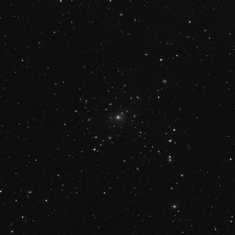 Image of IC 1695 - Elliptical Galaxy in Pisces star