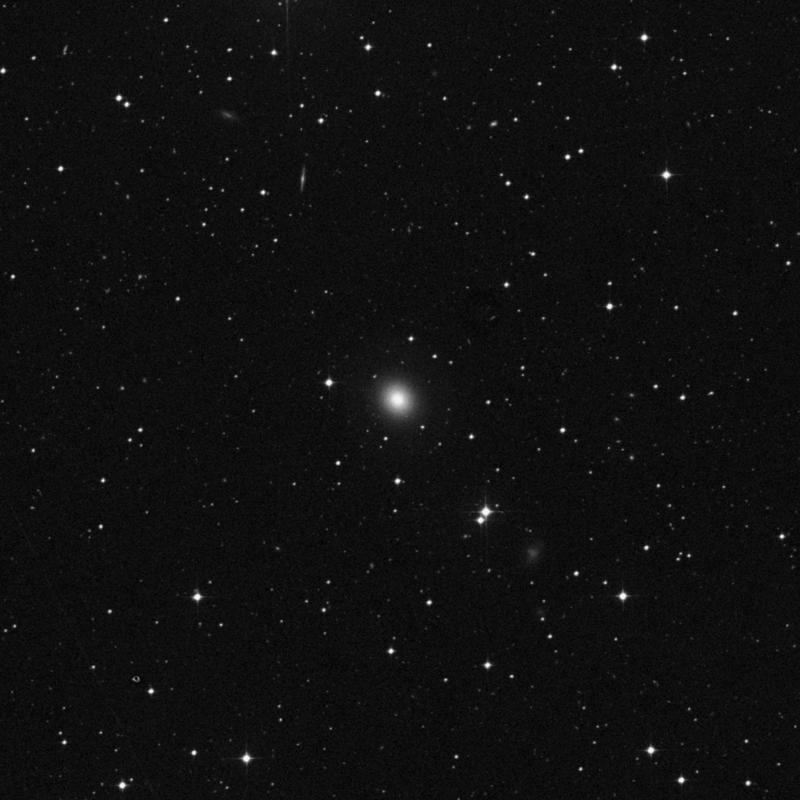 Image of IC 2006 - Elliptical Galaxy in Eridanus star