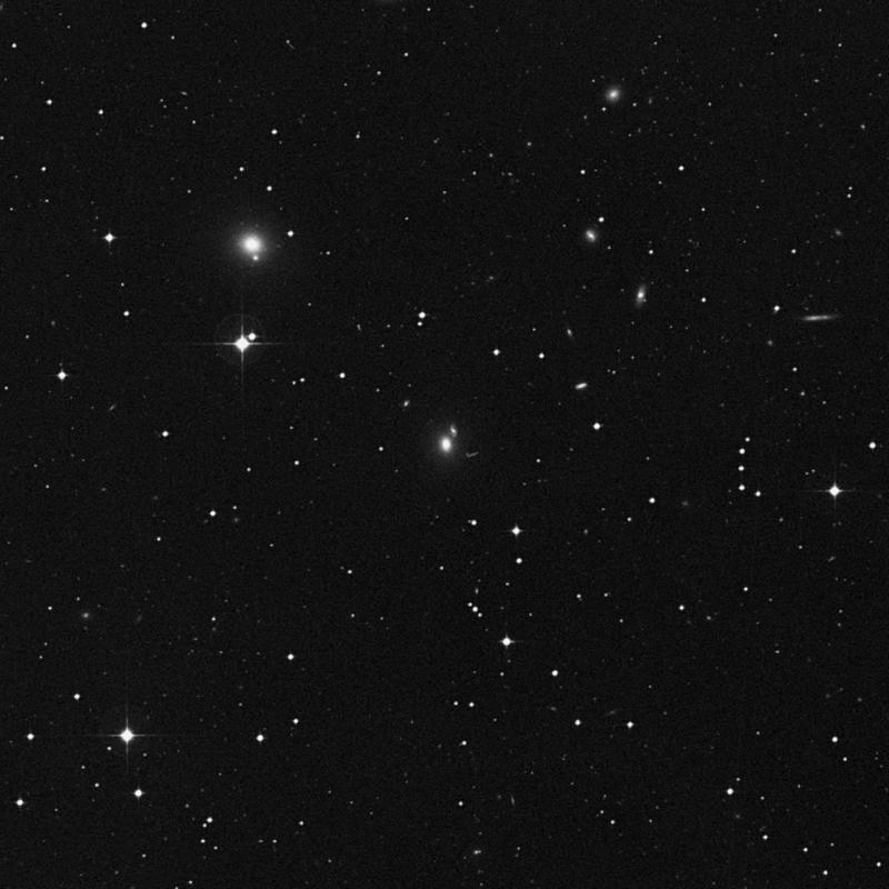 Image of IC 219 - Elliptical Galaxy in Cetus star
