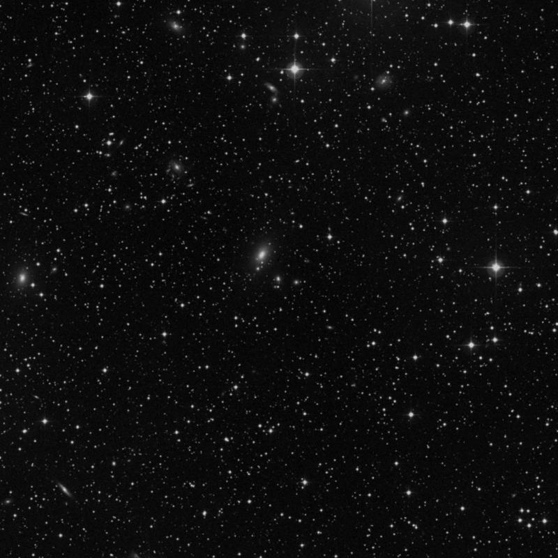 Image of IC 256 - Elliptical Galaxy in Perseus star
