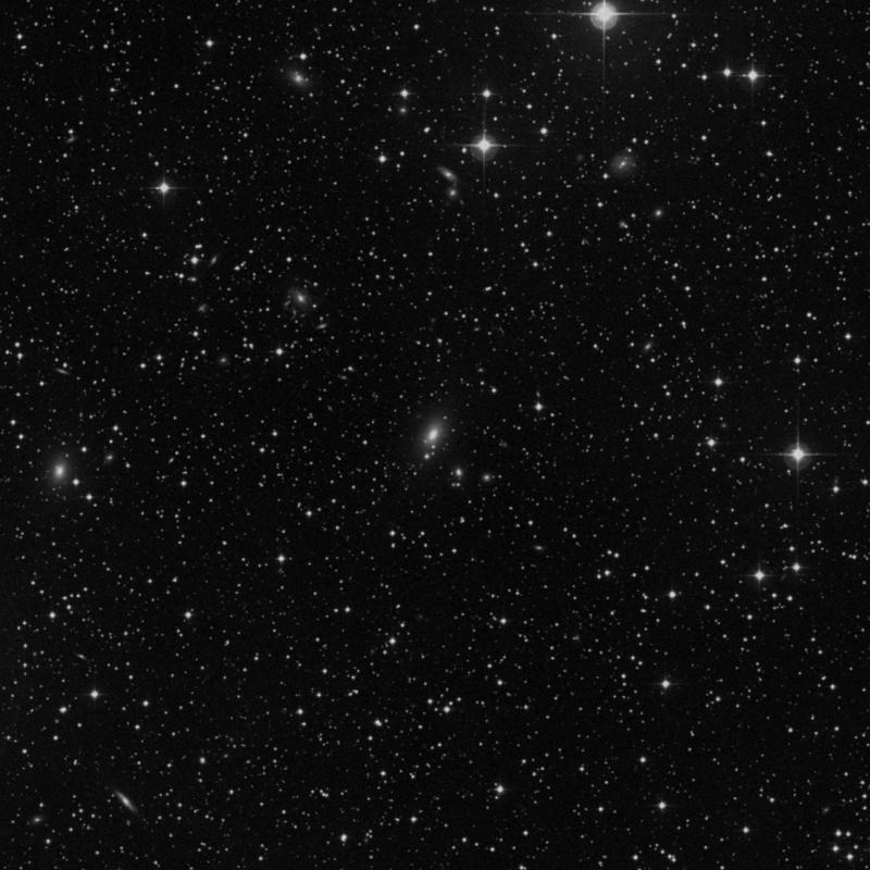 Image of IC 257 - Elliptical Galaxy in Perseus star