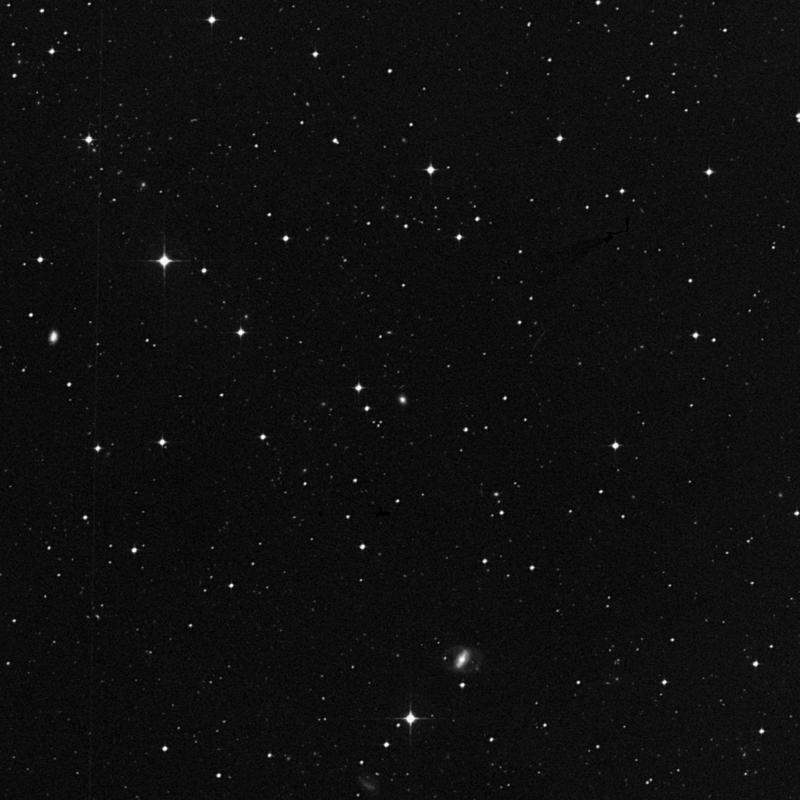 Image of IC 264 - Elliptical Galaxy in Cetus star