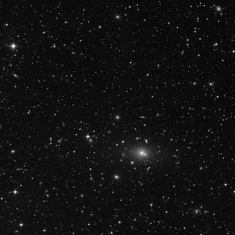 Image of IC 265 - Elliptical Galaxy in Perseus star