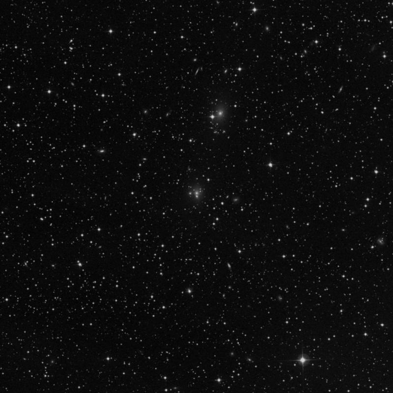 Image of IC 275 NED01 - Galaxy in Perseus star