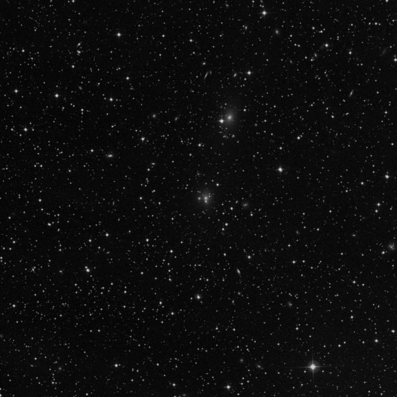 Image of IC 275 NED03 - Galaxy in Perseus star