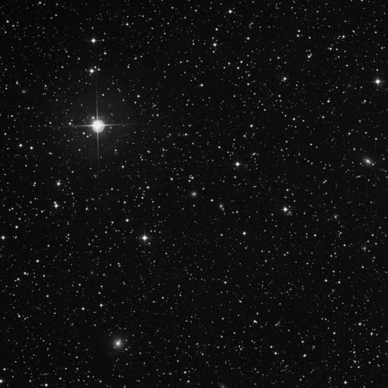 Image of IC 300 - Elliptical Galaxy in Perseus star