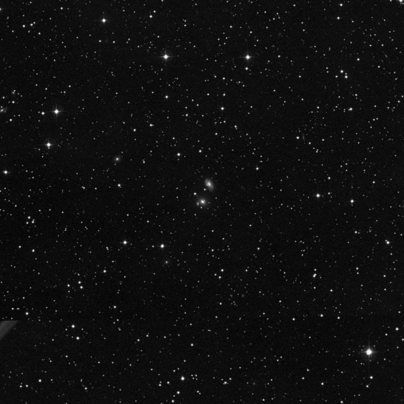 Image of IC 305 - Elliptical Galaxy in Perseus star