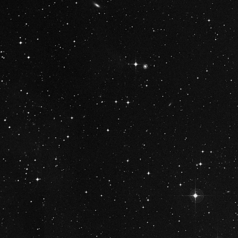 Image of IC 2078 - Star in Eridanus star
