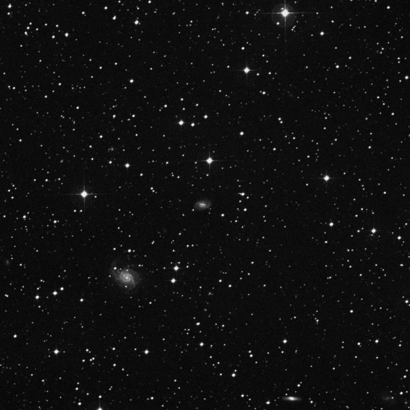 Image of IC 2151 - Spiral Galaxy in Lepus star