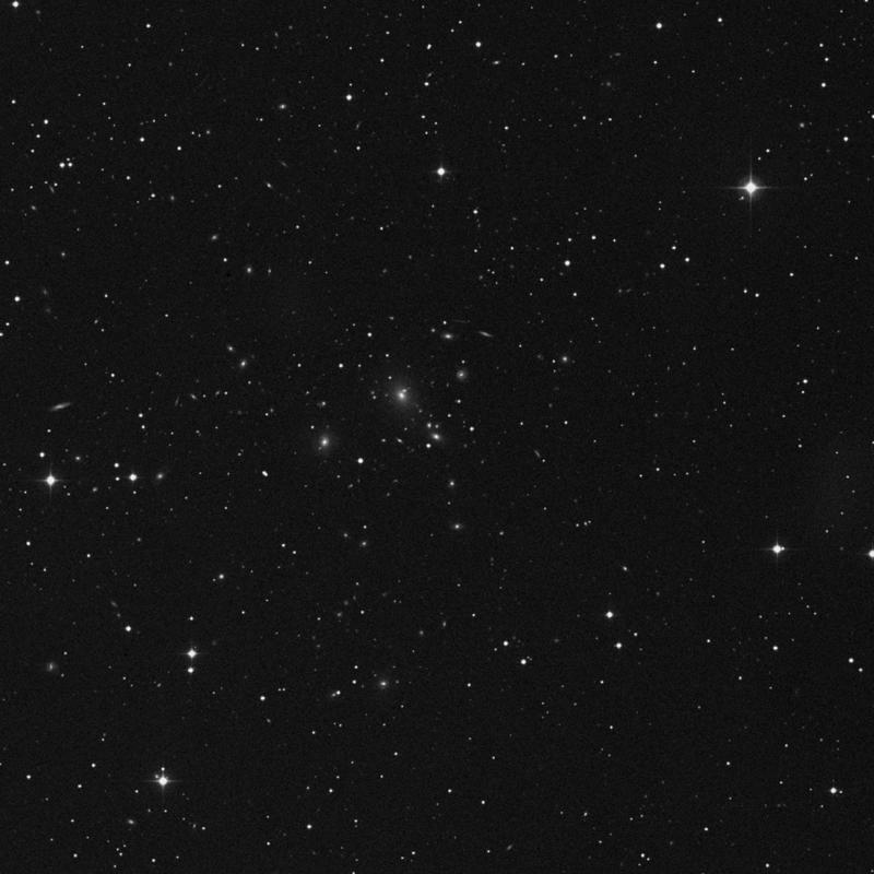 Image of IC 2376 - Elliptical Galaxy in Cancer star