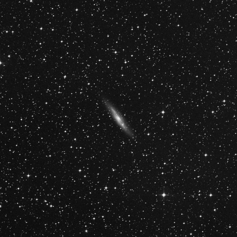 Image of IC 2469 - Barred Spiral Galaxy in Pyxis star