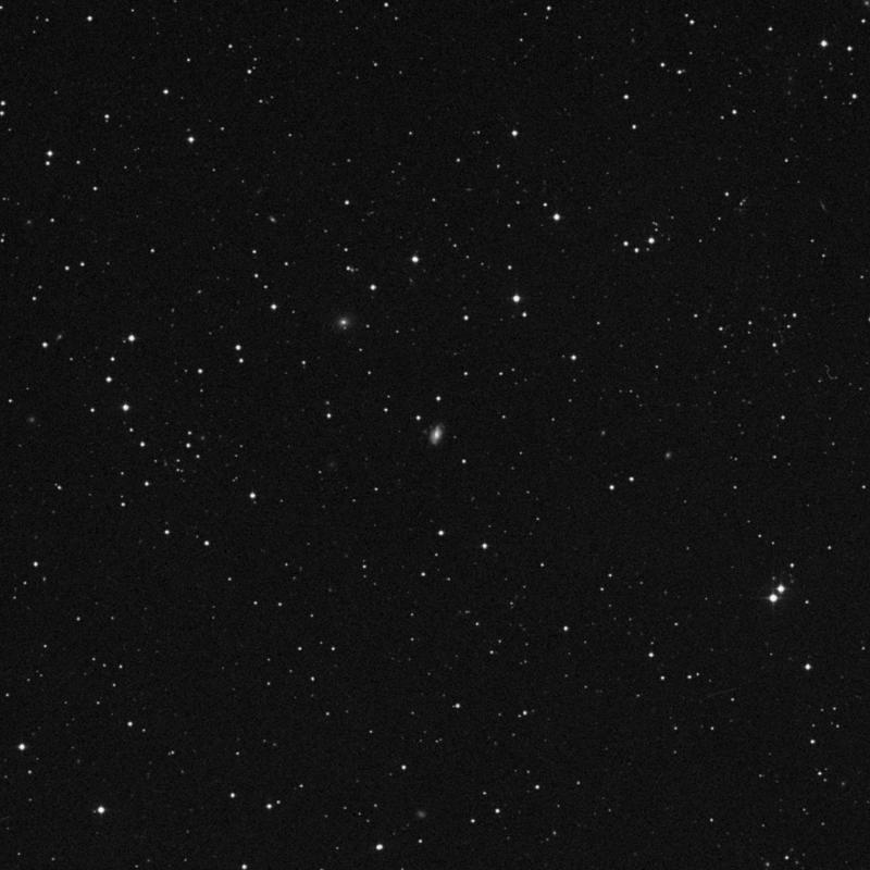 Image of IC 2481 - Barred Spiral Galaxy in Hydra star
