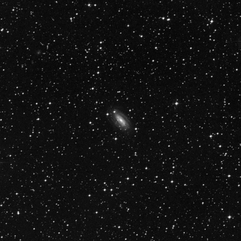Image of IC 2560 - Barred Spiral Galaxy in Antlia star