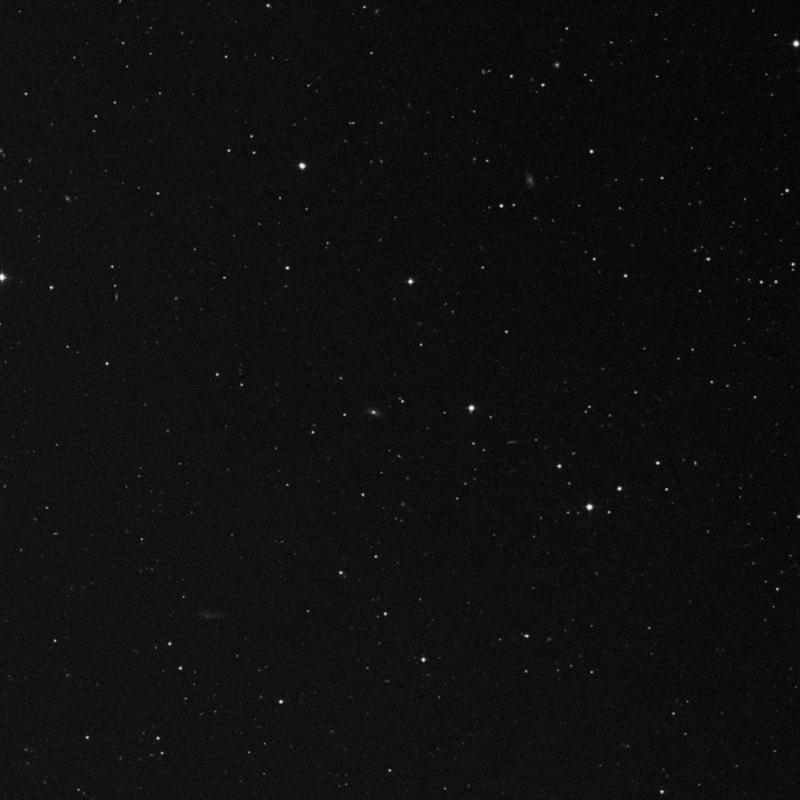 Image of IC 2635 - Double Star in Leo star