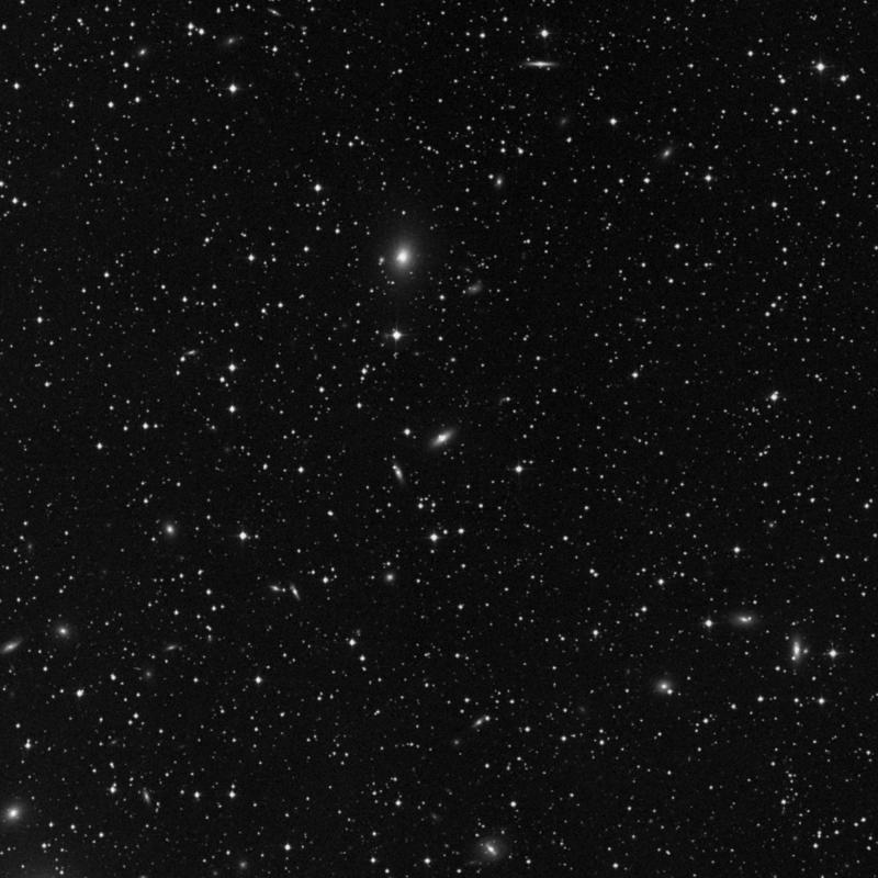 Image of IC 312 - Elliptical Galaxy in Perseus star