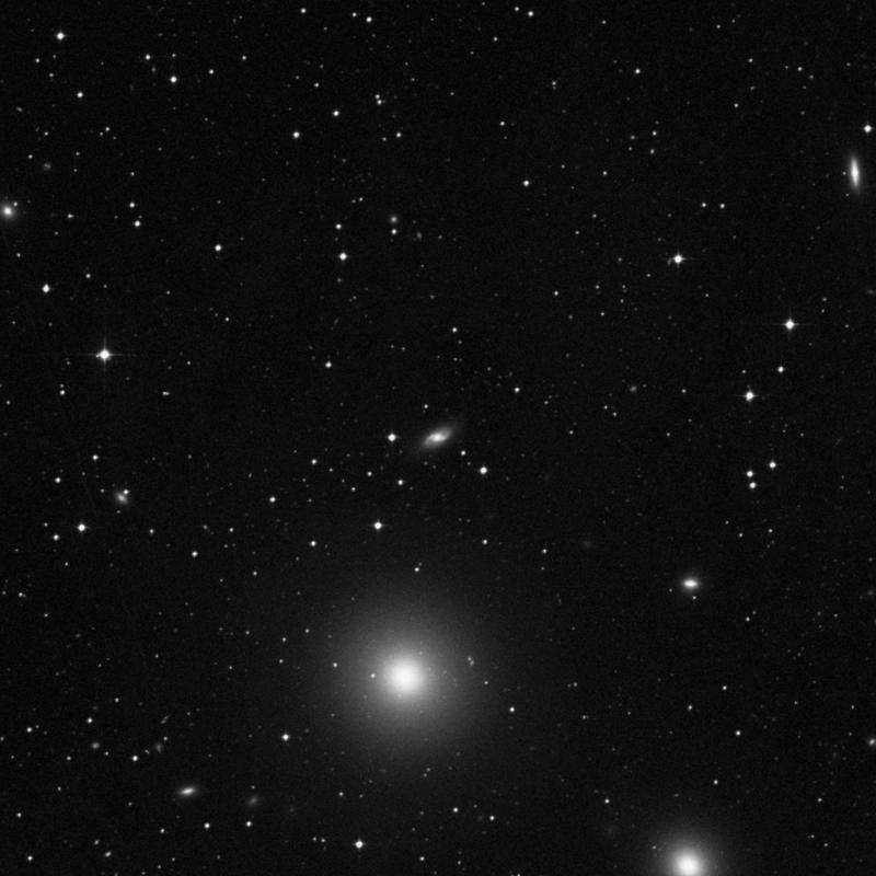 Image of IC 343 - Lenticular Galaxy in Eridanus star