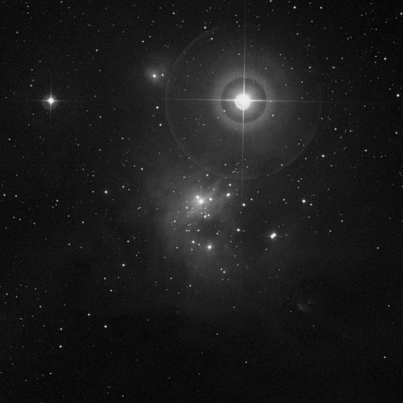 Image of IC 348 (Omicron Persei Cloud) - Star Cluster + Nebula in Perseus star