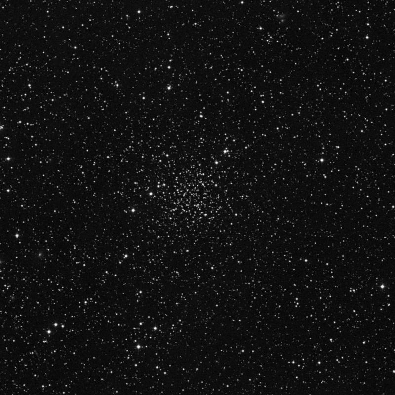 Image of IC 361 - Open Cluster in Camelopardalis star